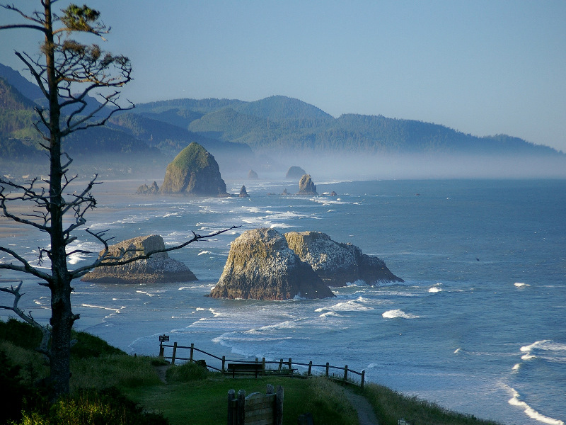 Ecola State Park Travel Cannon Beach