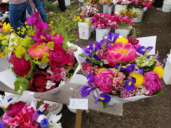 Portland Saturday Market