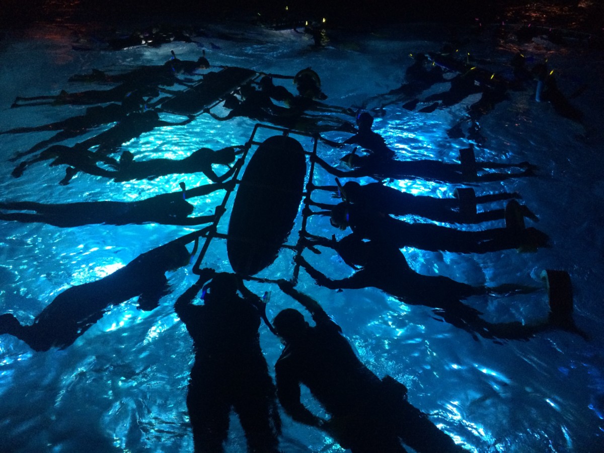 Manta Ray Night Dive
