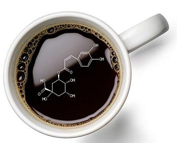 Coffee Antioxidants