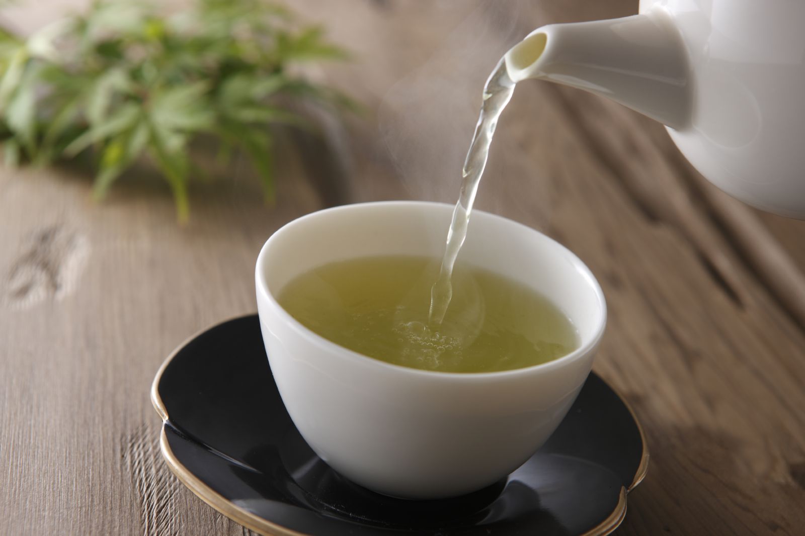 Green Tea Metabolism