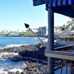 Huggo's Big Island Hawaii