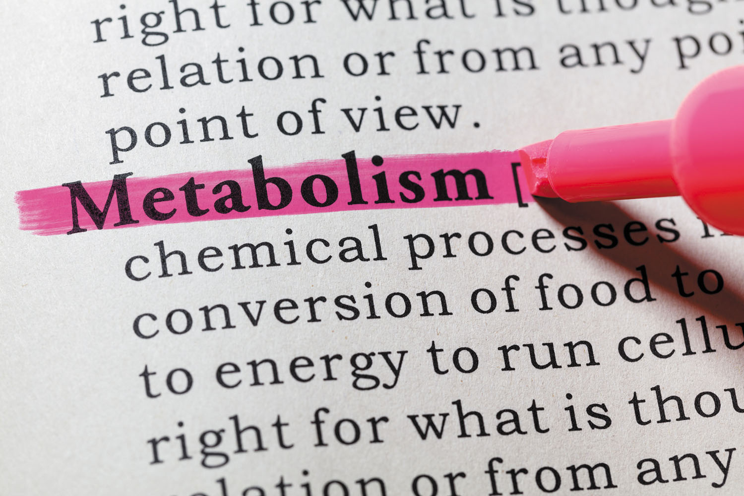 Boost Metabolism