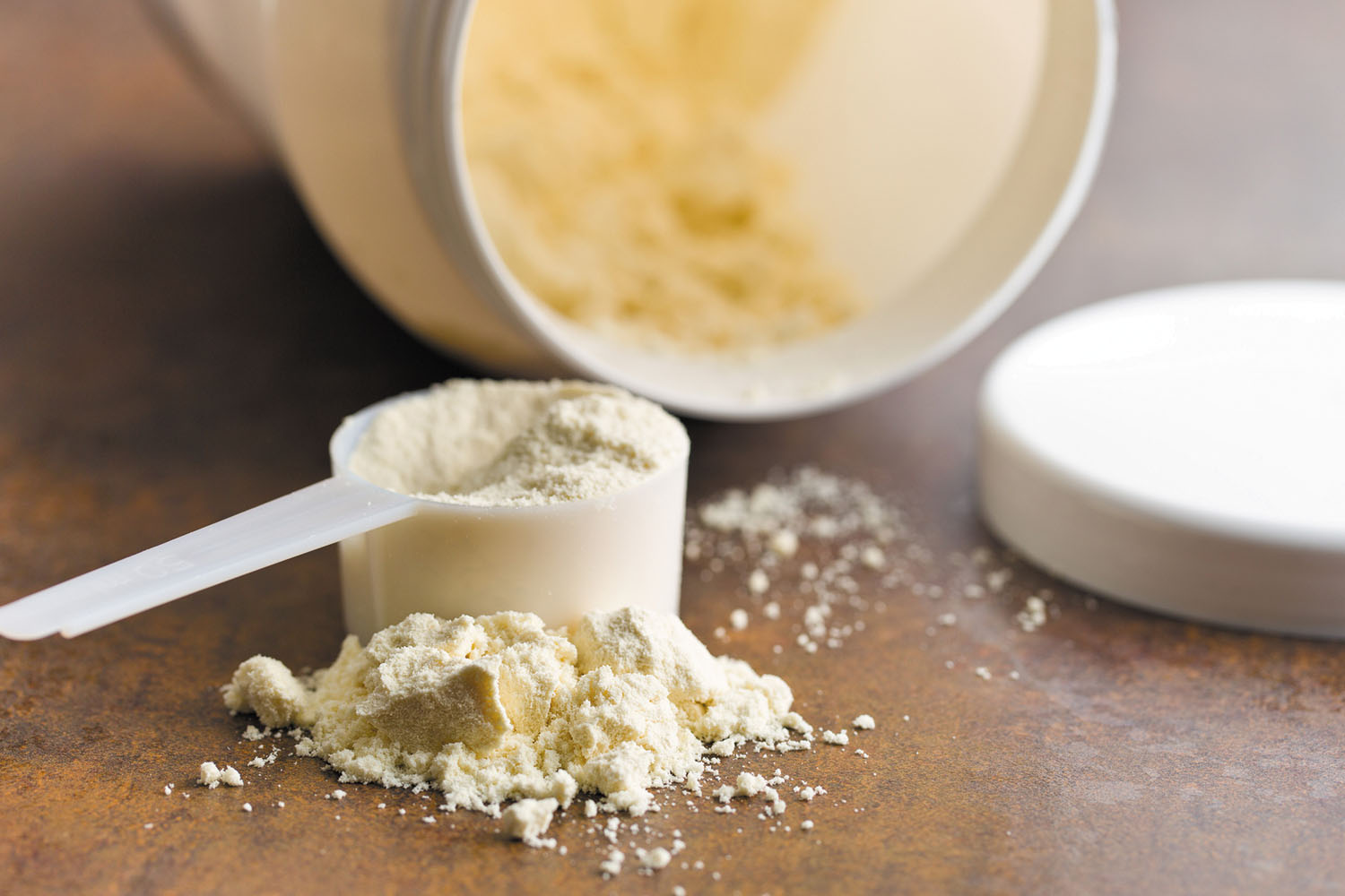 Protein Powder Muscle