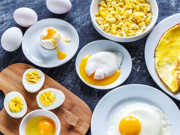 Eggs Protein Muscle
