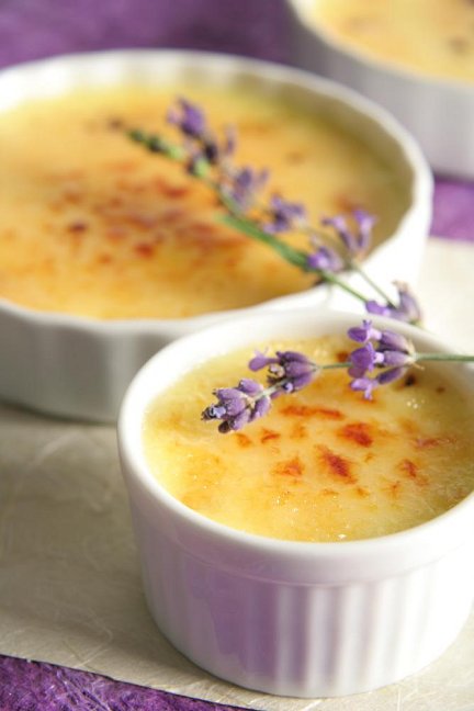 Lavender Creme Brulee