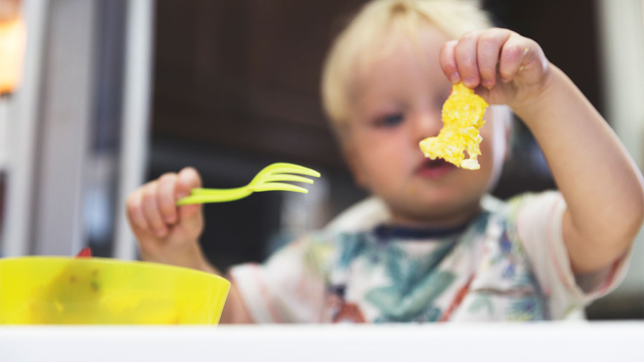 Fussy Toddler Eating
