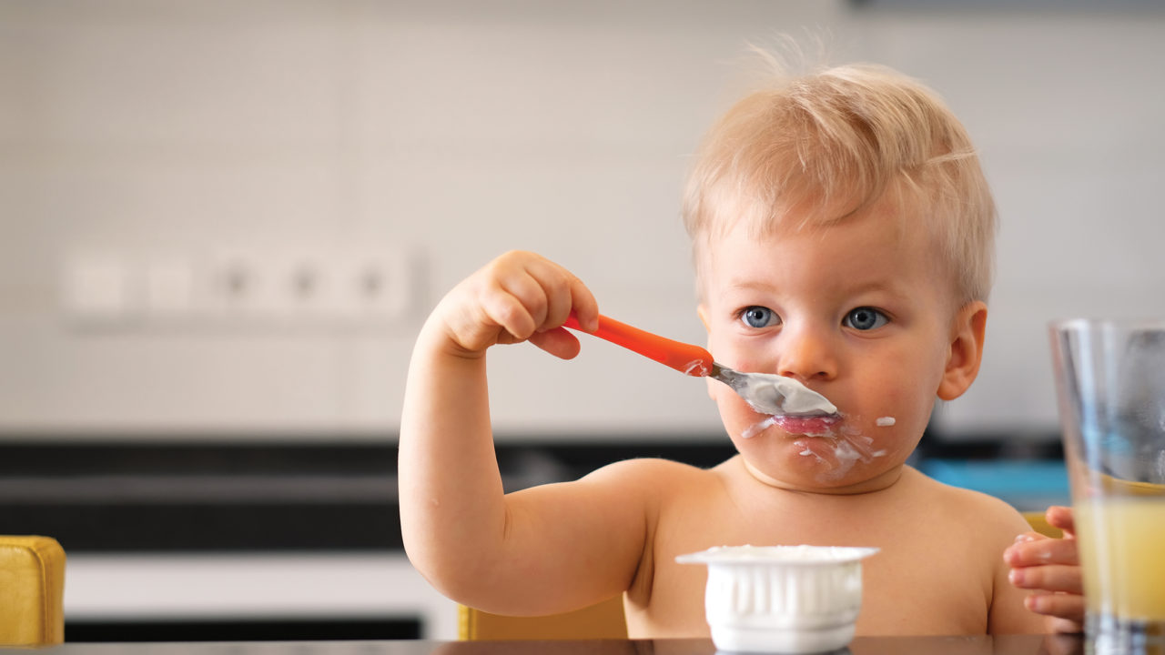 Toddler Approved Meals