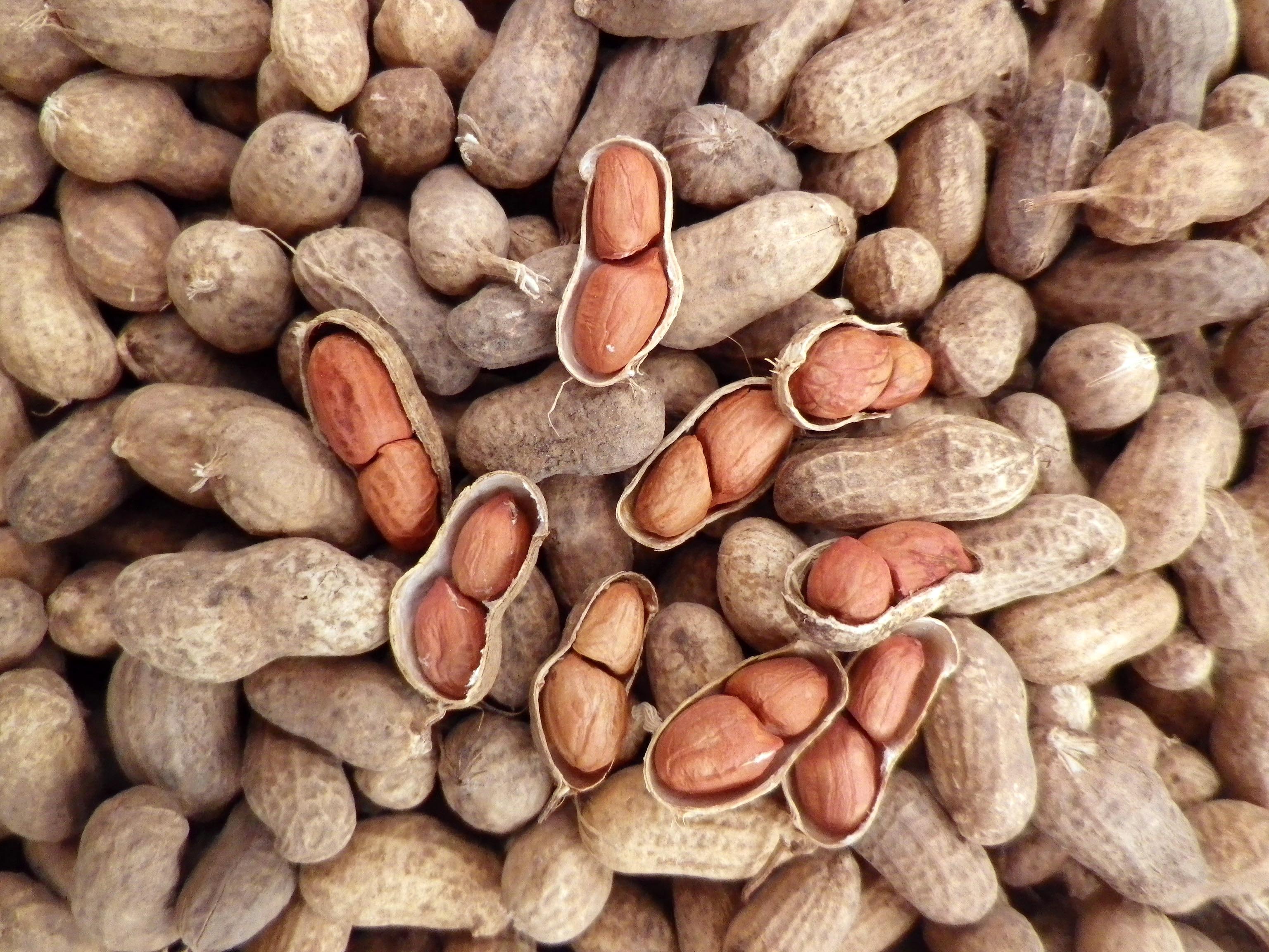 Runner peanuts keto peanut butter recipe