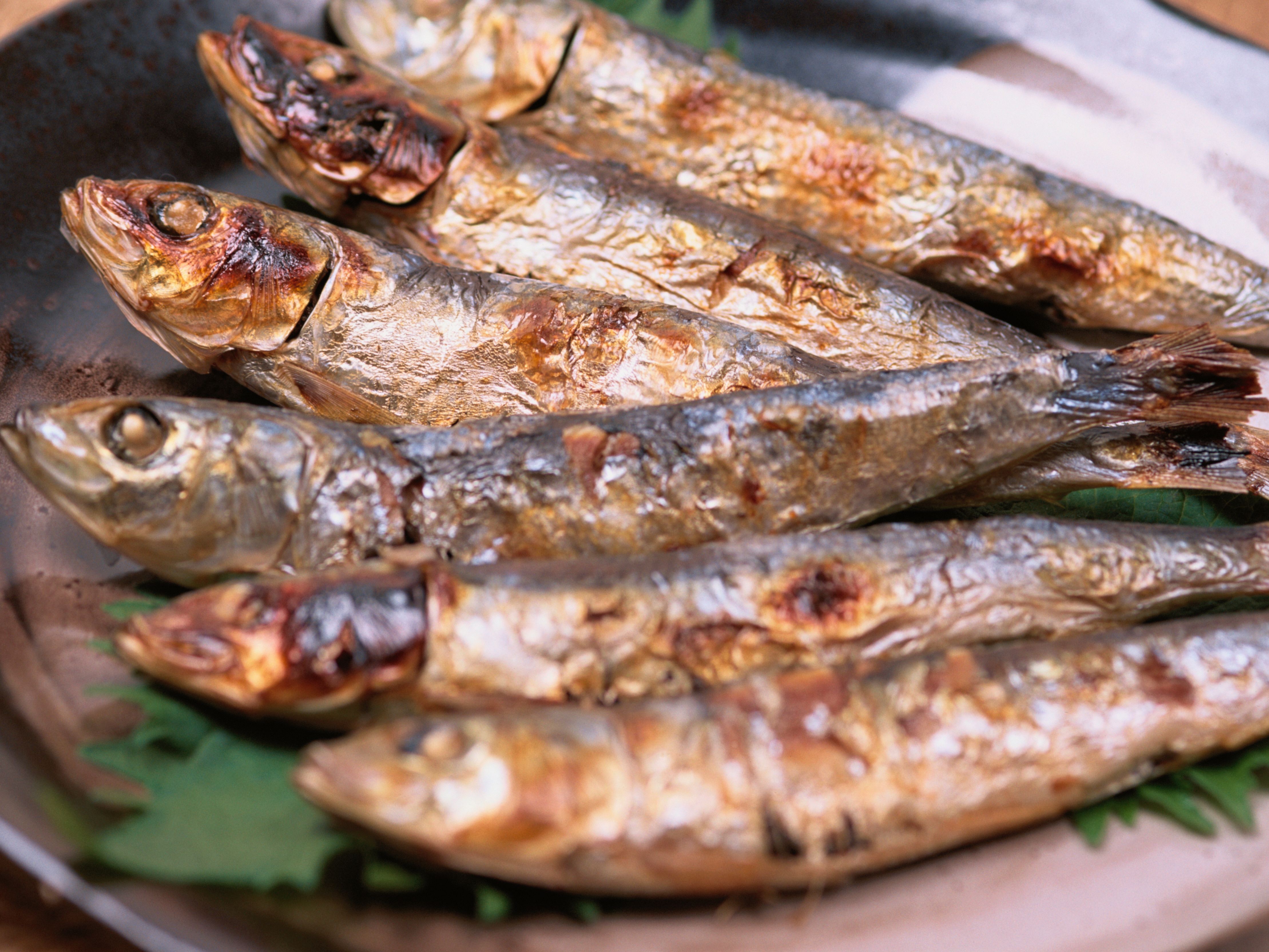 Sardines 