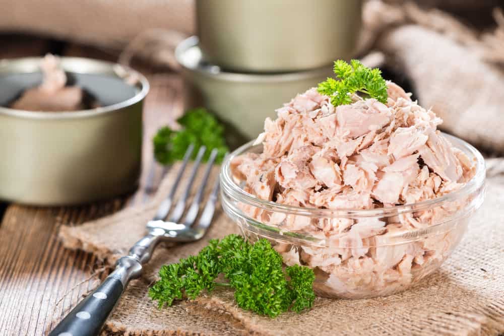 Canned tuna recipe