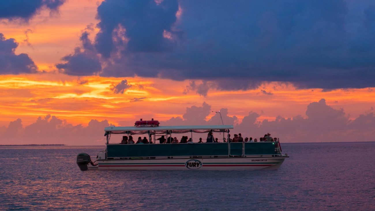 Dolphin sunset cruise key west Florida
